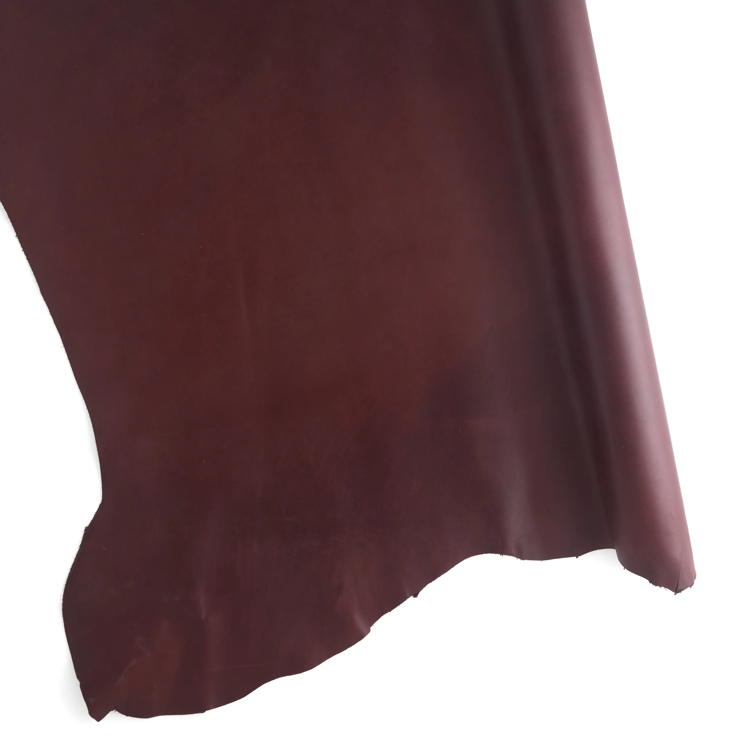 Top Fall Picks